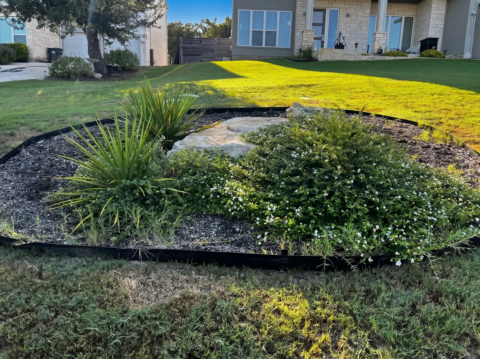 Front yard landscape bed with black mulch, stone accents, native plants, and a green lawn.